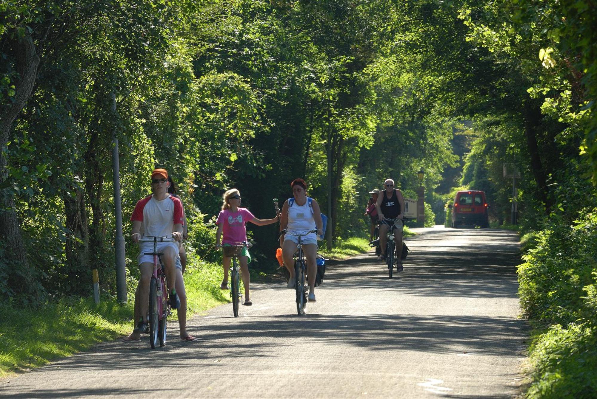 Hof Van Renesse Noordwelle Exteriér fotografie